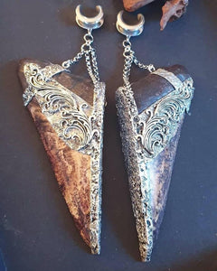 Megalodon shark tooth fossil ear Weights