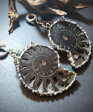 Load image into Gallery viewer, Black Ammonite fossil ear weights