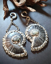 Load image into Gallery viewer, Black Ammonite fossil ear weights