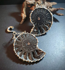 Black Ammonite fossil ear weights