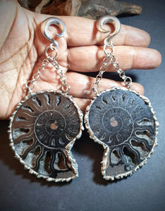 Black Ammonite fossil ear weights