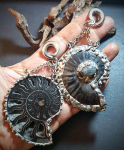 Black Ammonite fossil ear weights